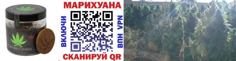 Еда ТГК марихуана  Пионерский 