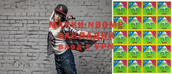 индика Беломорск