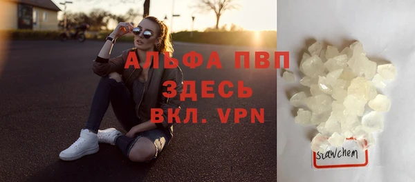 индика Беломорск