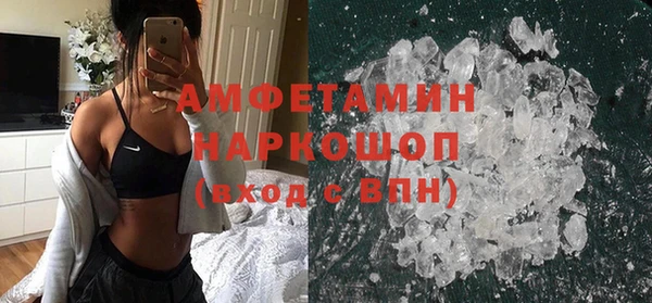 индика Беломорск