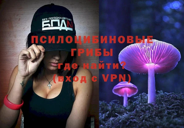 винт Белокуриха