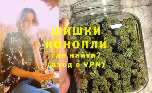 индика Беломорск