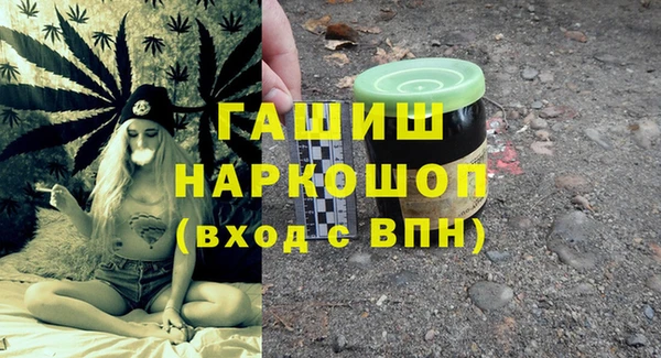 индика Беломорск