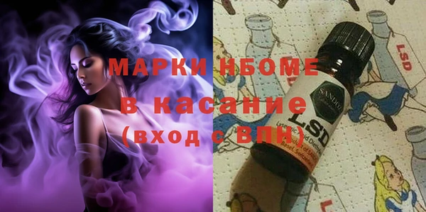 индика Беломорск