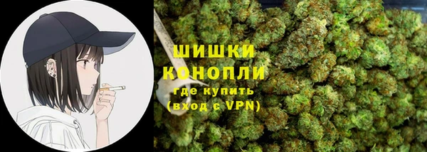 индика Беломорск