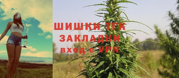 индика Беломорск