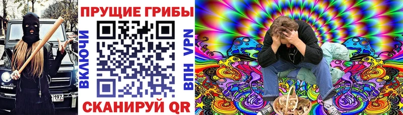 Псилоцибиновые грибы прущие грибы  Пионерский 